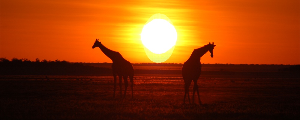 Etosha National Park, Namibia